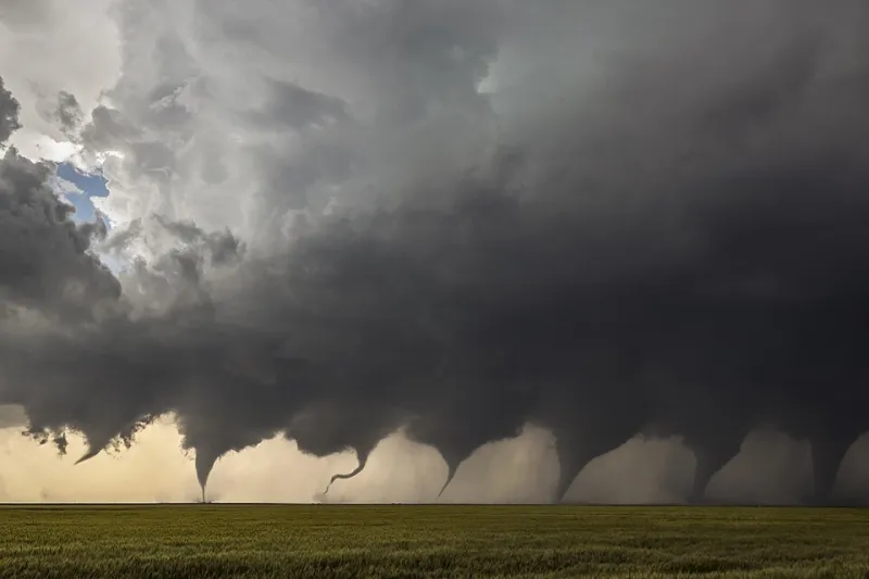 What Your Eye Misses and the Camera Doesn't: Training Yourself to See Distractions Before They Ruin the Shot