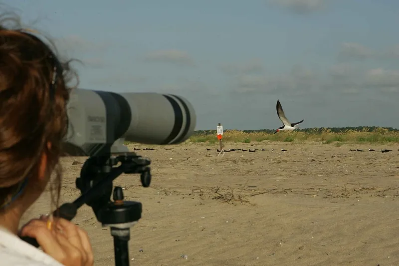Behind Every Quote: An Honest Accounting of Where Your Photography Dollar Actually Goes